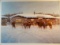 C. R. Cheek framed print, Heading To The Saloon, 14