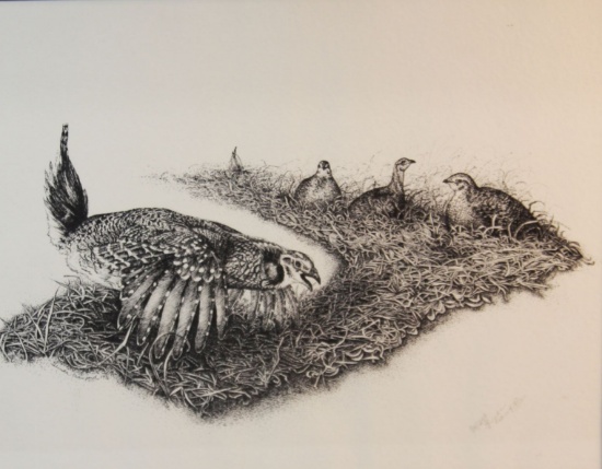 Crawford, Glynda signed print, Dancing Sharptails, 84/250, 13" X 17"