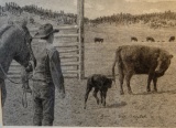 Greytak, Don original graphite drawing, Heifer and New Calf, 8