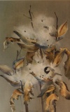 Halverson, Jean watercolor, 21
