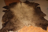 Buffalo rug, Fort Peck, MT ranch, 68