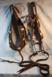 Studded headstall and martingale