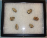 Buffalo calling stones, 6 pcs.