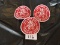 1979 Swim Meet Scout Patches, Tomahawk District