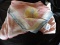 1950 National Jamboree, Valley Forge, Boy Scout Neckerchief, Shows Some Wear