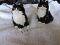 Tom Cat Salt & Pepper Shakers, Ceramic, Made In Japan, Each 3 1/2