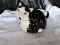 Cat Creamer, Ceramic, 4