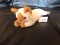 Snip, Ty Beanie Babies, 1996