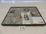 Framed Autographed Picture, Matt Hasselbeck, 8