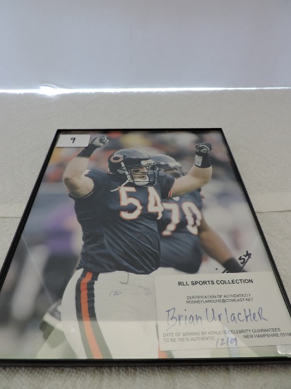 Framed Autographed Picture,Brian Urlacher, 8" x 10", COA