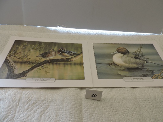 2 Wildlife Pictures, Richard Clifton, Sherrie Russell Meline, 8 1/2" x 11 1/2"
