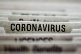 Corona Virus Information