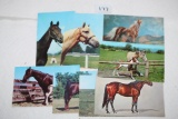 Assorted Horse Post Cards