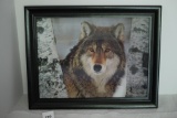 Framed 3-D Wolf Picture, 18 1/4