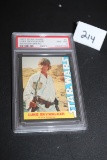 Star Wars 1977 Luke Skywalker Card, Wonder Bread, #1, PSA Grade 8, NM-MT, 24230798