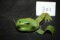 Frog Lure, 3