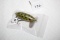 Jitter Bug Fishing Lure, Fred Arbogast, 2 1/2