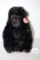 Ty Baby George Gorilla Plush, 1995, 10