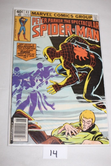 Peter Parker The Spectacular Spider-Man Comic Book, #43, June 1980, Marvel Comics Group