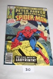 Peter Parker The Spectacular Spider-Man Comic Book, #35, Oct. 1979, Marvel Comics Group