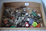 Assorted Keys & Master Lock