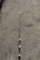 Cabela's Tourney Trail Spinning Rod, 1M8, 6', 1 Piece, TTS604-1-PF