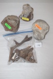 Assorted Stone Fossils, Fossilized Wood, Misc.