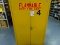 FLAMMABLE CABINET W/CONTENT