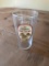 (1,008) YUENGLING TRADITIONAL LAGER 16OZ GLASSES