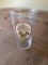 (1,008) YUENGLING TRADITIONAL LAGER 16OZ GLASSES