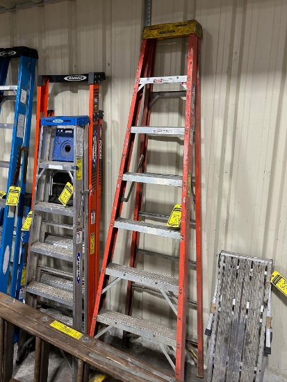 (3) Werner Ladders: 6', 6', & 8'