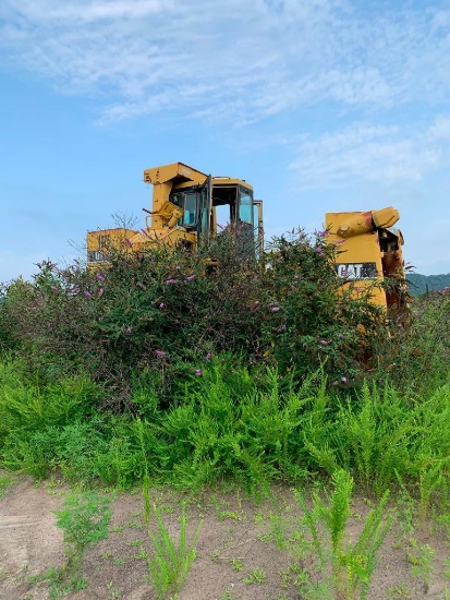 Caterpillar D11R Dozer, S/N 7PZ00816, Asset# 1075 (LAUREL BRANCH LOCATION, HURLEY, VA 24620;