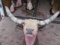 Longhorn Mount Damaged Need repair