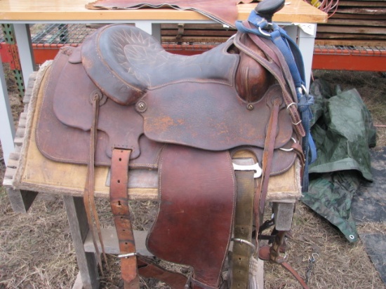 Saddle and Stand