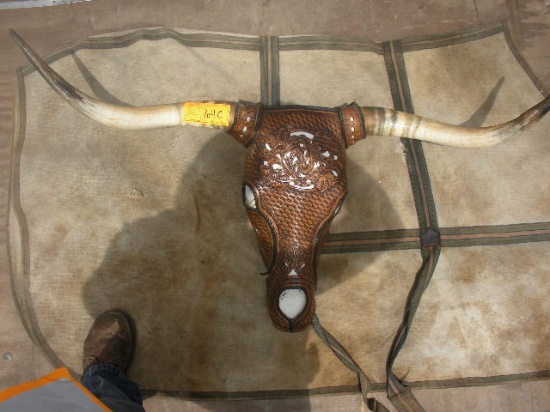 Leather Tooled Long Horn Steer Head and Horns  43"