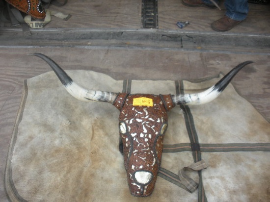 Leather Tooled Long Horn Steer Head and Horns  50.5"