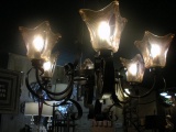 6 Bulb Light Fixture