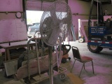 Pedestal Fan