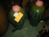 2 Metal Cactus Containers