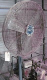 Patton pedestal Fan