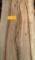 Texas Winged or Cedar Elm  100 x 13-17 x 2-1/2