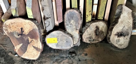 (5) Spalted Pecan Rounds 8-14 x 1-1/2 - 2 Thick