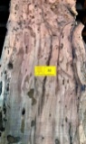 Texas Spalted Pecky Pecan 107 x 16 x 2-3/4