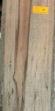 Texas Winged or Cedar Elm  97 x 12-13 x 2