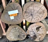 (4) Texas Mesquite Rounds 10-12 Diameter x 1-2 Thick