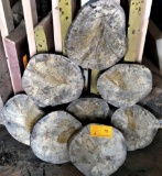 (8)  Texas Hackberry Rounds  9-10 Diameter x 1-1/2 - 2 Thick