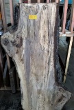 Texas Pecan Spalted Slab  60 x 24 x 3-1/2