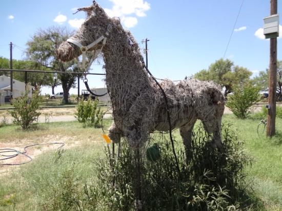 Full Size chia pet horse