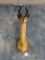 African Gerenuk Gazelle Shoulder Mount Taxidermy