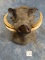 African Warthog Shoulder Mount Taxidermy